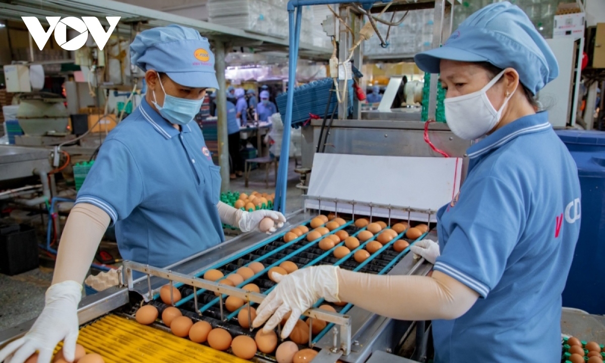 Vietnam Manufacturing PMI keeps growth momentum in third quarter